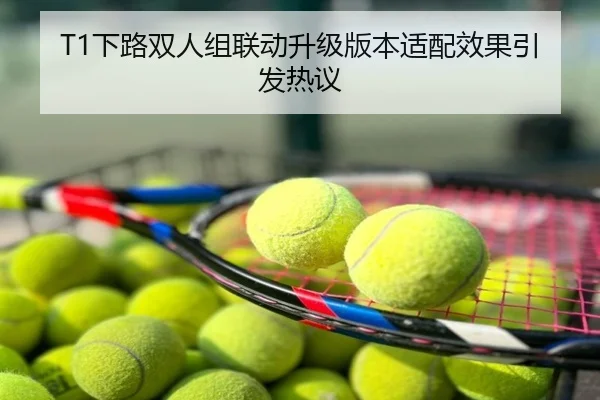 T1下路双人组联动升级版本适配效果引发热议