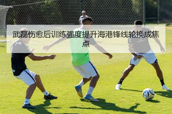 武磊伤愈后训练强度提升海港锋线轮换成焦点
